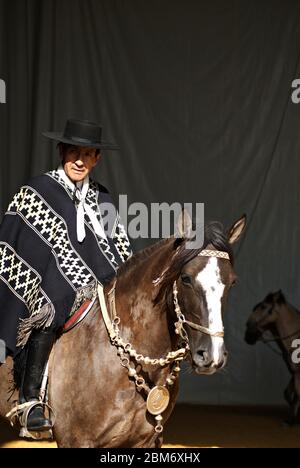 Gaucho in traditionellem Outfit, der im Dunkeln auf einem criollo Pferd reitet Stockfoto