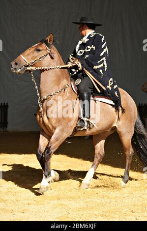 Gaucho in traditionellem Outfit, der im Dunkeln auf einem criollo Pferd reitet Stockfoto