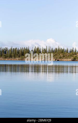 Vertikale Seenlandschaft der ile des Pins, Neukaledonien Stockfoto