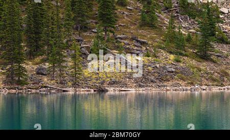 lake Morraine Sceneries, Banff National Park, Alberta, Kanada Stockfoto