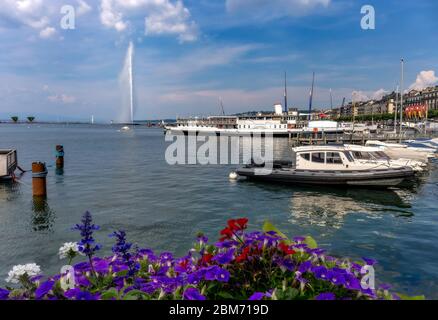 Blick auf den Brunnen Jet d'Eau auf den Genfer See und Boote mit Blumen im Vordergrund - Genf, Schweiz Stockfoto