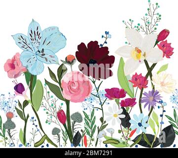 Alstromerias, fucisia, Rosen, Vanille, Kosmos Blume. Bordüre Design Frühling Sommer Wiese nahtloses Muster Stock Vektor