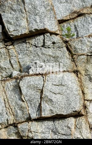 Risse auf der Felswand Stockfoto