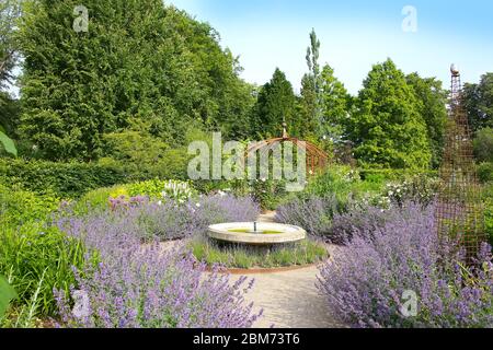 Traditioneller öffentlicher Garten, im Sommer blühend mit Lavendelpflanzen, in der Nähe von Kvaerndrup, im Süden der Insel Fünen, Dänemark. Stockfoto