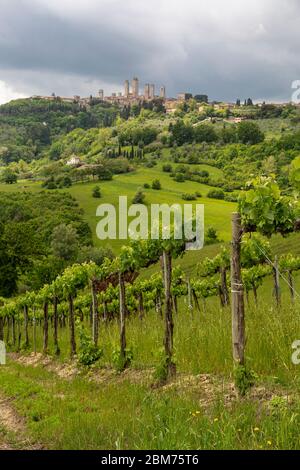 San Gimignano ist eine italienische Kleinstadt in der Toskana mit einem mittelalterlichen Stadtkern. San Gimignano wird auch „mittelalterliches Manhat Stockfoto