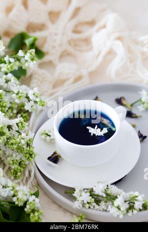 Tasse Schmetterling Erbsentee (Erbsenblüten, blaue Erbsenblüte) für gesundes Trinken, Detox-Trinken und weißen Flieder. Zeit zum Entspannen, zahlen Sie sich zuerst Stockfoto
