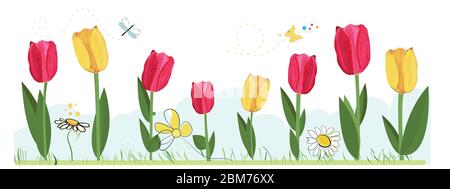 Handgezeichnete rote, gelbe realistische Tulpen mit Gänseblümchen und Schmetterling. Frühling Zeit Banner Hintergrund Illustration Stock Vektor