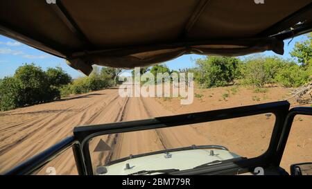 Dieses Foto wurde im Chobe National Park, Botswana, aufgenommen Stockfoto