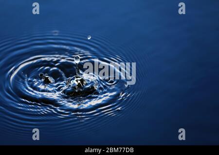 Ein Tropfen Wasser fällt ins Wasser, was einen perfekten Tropfen macht. Stockfoto