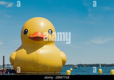 Riesige gelbe Gummiente Skulptur, Toronto, Lake Ontario Stockfoto