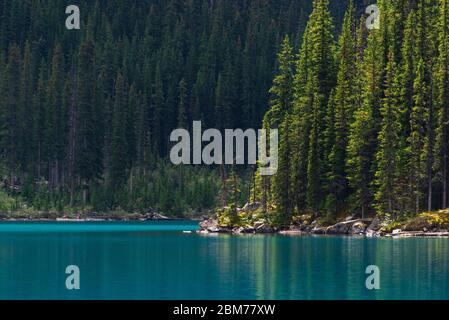 lake Morraine Sceneries, Banff National Park, Alberta, Kanada Stockfoto