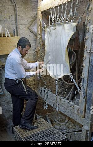 Ein Rabbiner und Meister macht in seinem Keller Pergament für religiöse Gegenstände. In Brooklyn, New York. Stockfoto