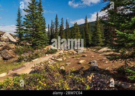 lake Morraine Sceneries, Banff National Park, Alberta, Kanada Stockfoto