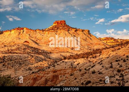 Sandsteinfelsen, Upper Escalante River Trail, Grand Staircase-Escalante National Monument, Utah USA Stockfoto