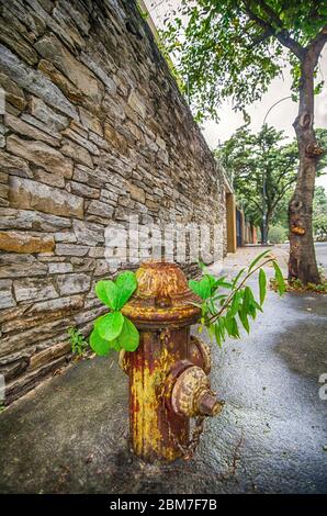 Der Hydrant kann nach Ablauf seiner Zeit eine Lebensdauer erreichen Stockfoto