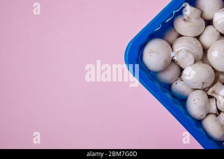 In der Ecke des Rahmens ist ein blauer Behälter. Im Behälter sind kleine Pilze. Pilze werden unter Vakuum für eine bessere Lagerung gefunden. Da Stockfoto