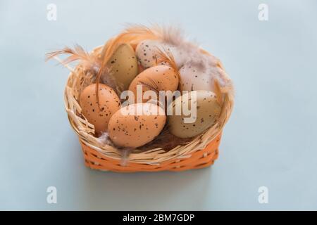 Ostern kleine Eier mit Federn im Korb auf gelbem Federhintergrund. Osterkonzept. Stockfoto