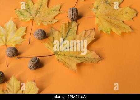 Gelbe Herbstblätter mit Nüssen auf dem orangefarbenen Hintergrund. Kopierbereich. Flaches Lay. Draufsicht. Platz für Text. Grußformeln. Stockfoto