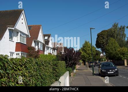 Freistehende Häuser mit Erkerfenstern in teddington, middlesex, england, hinter privaten Hecken auf einer baumgesäumten Straße. Stockfoto