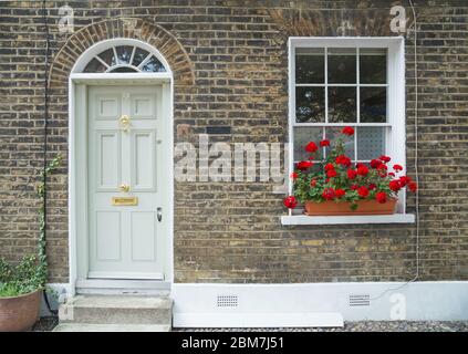 Eingangstür eines gepflegten Reihenhauses in Batchelor Street, Islington, London, mit roten Geranien in einem Topf auf der Fensterbank Stockfoto