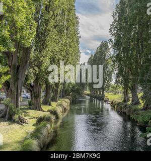 Stadtbild mit hohen Bäumen am Ufer des Flusses Avon im Stadtzentrum, aufgenommen in hellem Frühlingslicht in Christchurch, South Island, Neuseeland Stockfoto