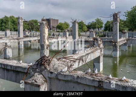 Stadtbild mit überfluteten Ruinen eines eingestürzten Betongebäudes mit Schwarzer Möwen, aufgenommen in hellem Frühlingslicht in Christchurch, South Island, Stockfoto