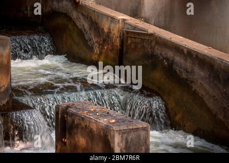 Wasserfalltreppen an der Fischleiter in der Innenstadt von Grand Rapids Michigan Stockfoto