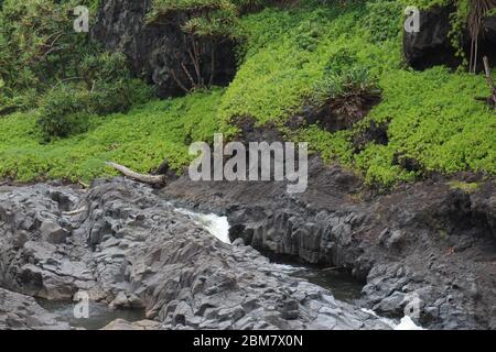 Palikea Bach läuft durch vulkanisches Gestein mit Scaevola taccada und tropischen Bäumen auf dem Felsen am Oheo Gulch in Hana, Maui, Hawaii, USA Stockfoto
