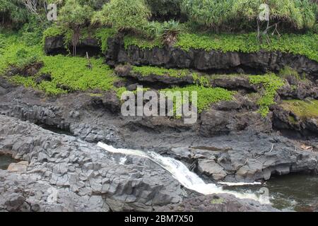 Palikea Bach läuft durch vulkanisches Gestein mit Scaevola taccada und tropischen Bäumen auf dem Felsen am Oheo Gulch in Hana, Maui, Hawaii, USA Stockfoto