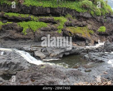 Palikea Bach läuft durch vulkanisches Gestein mit Scaevola taccada und tropischen Bäumen auf dem Felsen am Oheo Gulch in Hana, Maui, Hawaii, USA Stockfoto