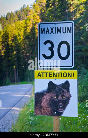 Straßenschild im Banff National Park Warnung vor Wölfen in der Gegend Stockfoto