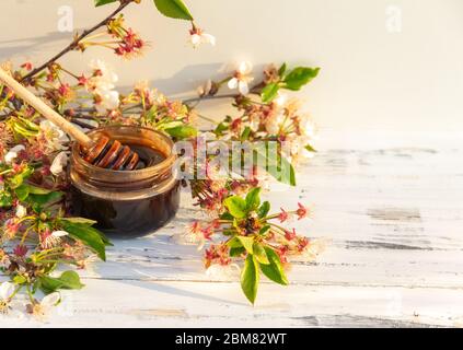 Glas Schokolade Honig mit Frühlingsblumen auf weißem Holzhintergrund. Stockfoto