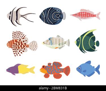 Set von exotischen tropischen Meerwasseraquarium bunten Fischen Stock Vektor