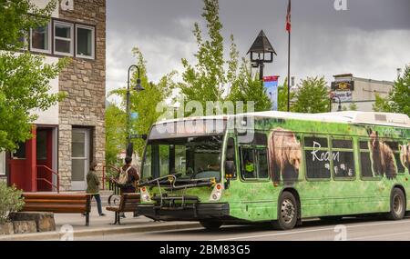 BANFF, ab, KANADA - JUNI 2018: Öffentlicher Bus in der Innenstadt von Banff. Stockfoto