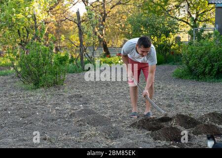 Junger Gelegenheitsmann, der mit einer Hacke im Boden arbeitet Stockfoto