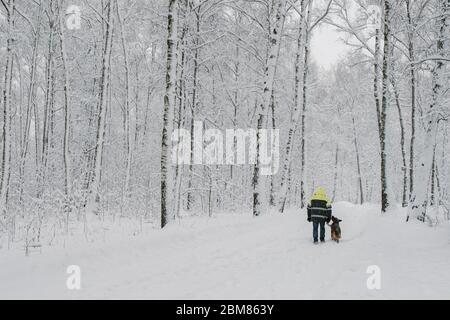 Ein einsame Mann geht in einem verschneiten Wald mit einem deutschen Hirten. Er trägt einen reflektierenden Anzug. Rückansicht Stockfoto