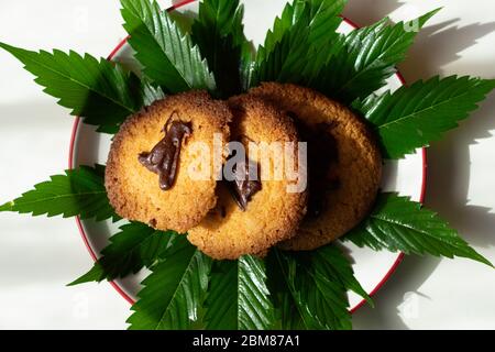 Marihuana-Kekse, THC-Tinktur und Hanfblätter auf einem farbigen Hintergrund. Flach, minimalistisch. Medizinisches Cannabis Stockfoto