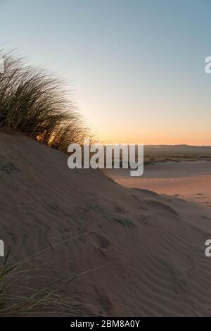 Wunderschöne Dünen bei Sonnenuntergang am Balmedie Beach, Aberdeenshire, Schottland Stockfoto