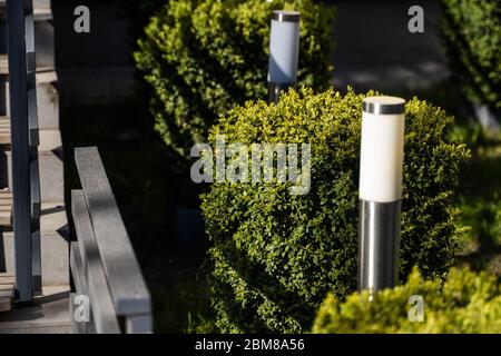 Pflanzen von grünen Büschen der quadratischen Form in Perspektive. Rechteckige Büsche auf Rasen Stockfoto