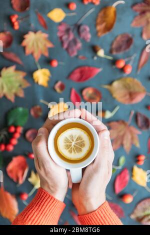 Herbstsaison Konzept. Draufsicht auf männliche Hand hält eine Tasse heißen Tee mit Zitrone, Herbst gefärbte Blätter, reife Hagebutte, Weißdorn und Eberesche Beeren, gr Stockfoto