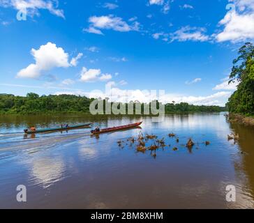 Brokopondo, Suriname - August 2019: Zwei Safari-Boote Fahren Entlang Des Suriname Flusses. Stockfoto