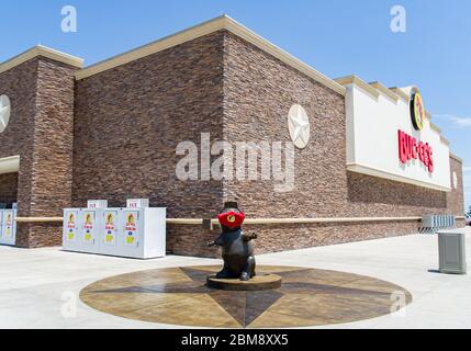 7. Mai 2020: Bucky die Biberstatue trägt eine Maske an der Buc-ee's Tankstelle und Tavel Center Temple, Texas. Matthew Lynch/CSM Stockfoto