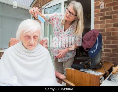 Cocoid 19 Einschränkungen bedeutet, dass die alte Dame nicht wie üblich in den Friseur genommen werden kann, so dass ihre aufsichtschenende Pflegekraft ihr Haar für sie als es ge trimmt und kämmt Stockfoto