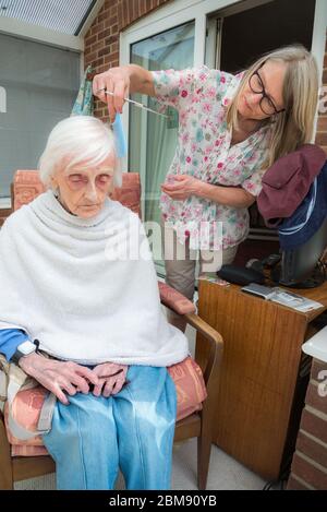 Cocoid 19 Einschränkungen bedeutet, dass die alte Dame nicht wie üblich in den Friseur genommen werden kann, so dass ihre aufsichtschenende Pflegekraft ihr Haar für sie als es ge trimmt und kämmt Stockfoto