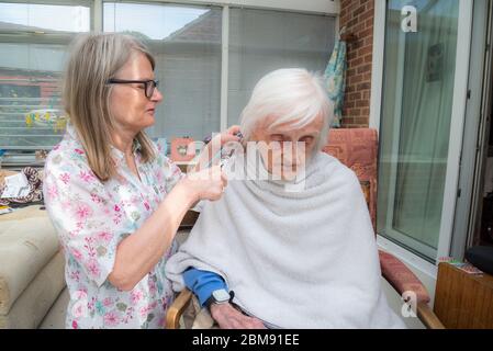 Cocoid 19 Einschränkungen bedeutet, dass die alte Dame nicht wie üblich in den Friseur genommen werden kann, so dass ihre aufsichtschenende Pflegekraft ihr Haar für sie als es ge trimmt und kämmt Stockfoto