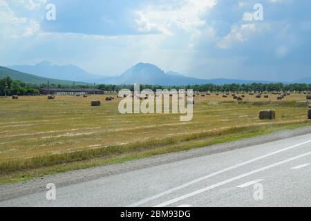 Feld mit Heuballen. Heu für die Fütterung von Tieren vorbereiten. Neu abgeschrägte Heuschnupfen in Ballen auf dem Feld. Stockfoto