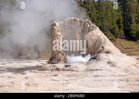 Kalksteinkegel des Giant Geyser im Upper Geyser Basin des Yellowstone National Park Stockfoto