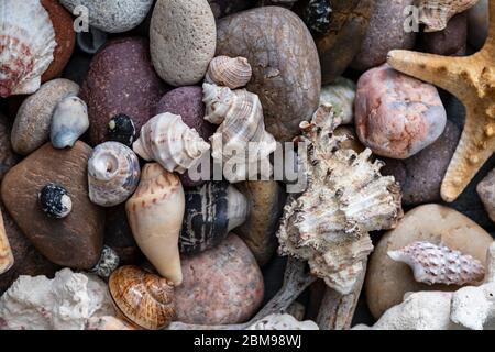 Viele Schnecken und Steine in Luftaufnahme Stockfoto