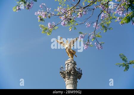 Engel der Unabhängigkeit, Avenida Paseo de la Reforma. Mexiko-Stadt, Mexiko Stockfoto