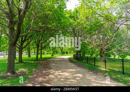 Schattiger grüner Pfad im Lincoln Park Chicago Stockfoto